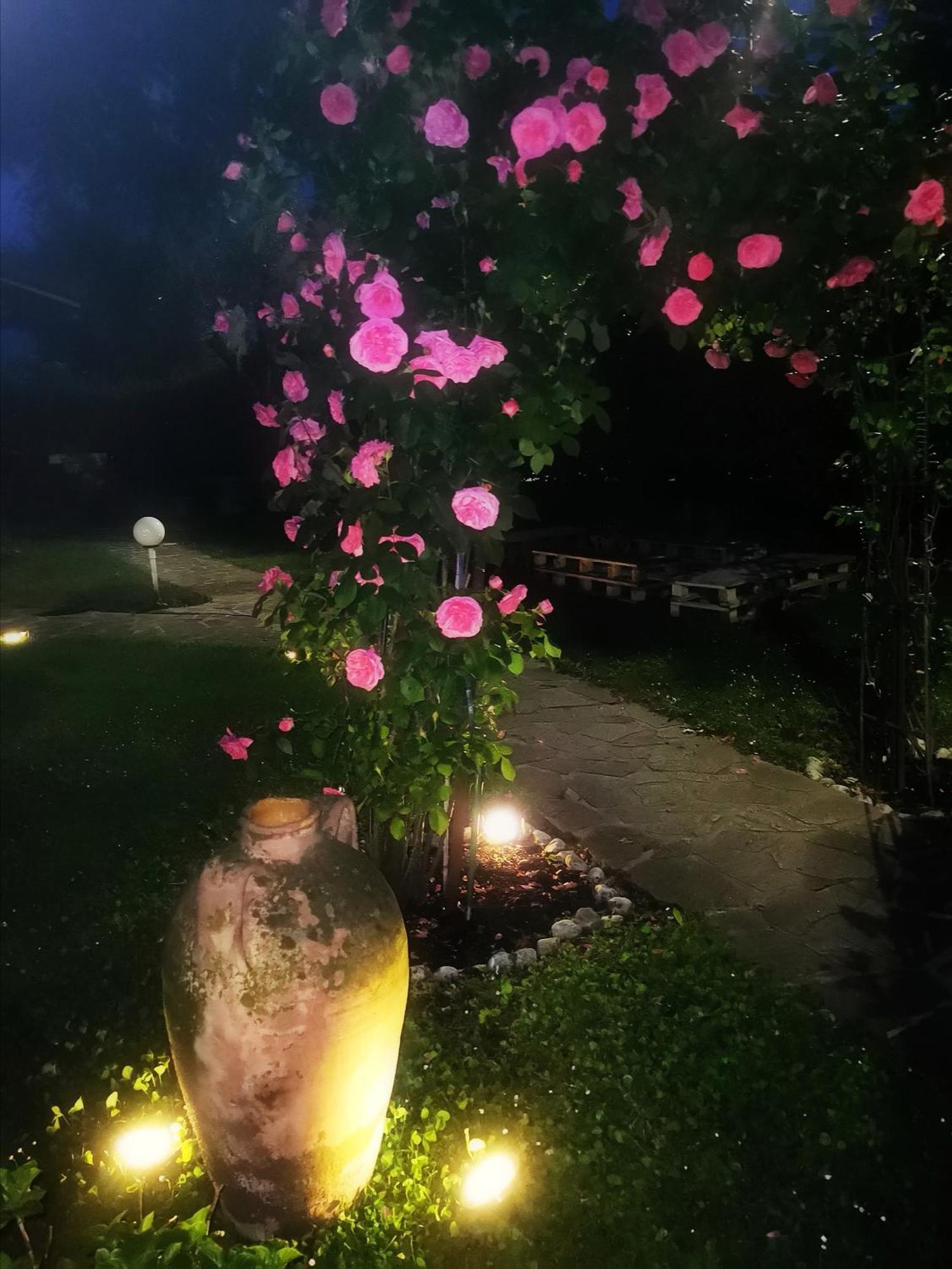 Acquachiara Iseo Deluxe Bed & Breakfast Iseo Center With Garden And Parking Inside Foresteria Oda fotoğraf